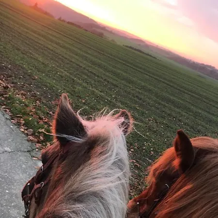 Landhof - Tierische Auszeit In Unseren Gemuetlichen *