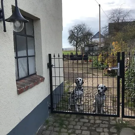 Daire Landhof - Tierische Auszeit In Unseren Gemuetlichen