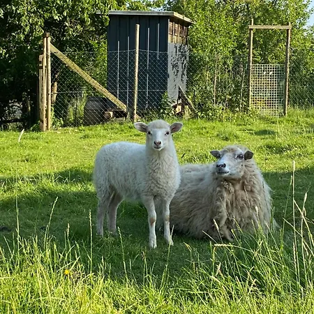 Landhof - Tierische Auszeit In Unseren Gemuetlichen