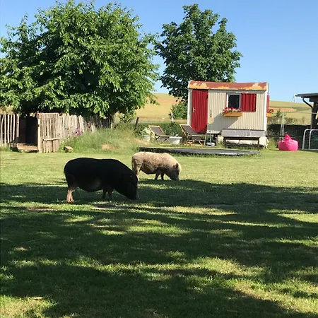 דירה Landhof - Tierische Auszeit In Unseren Gemuetlichen