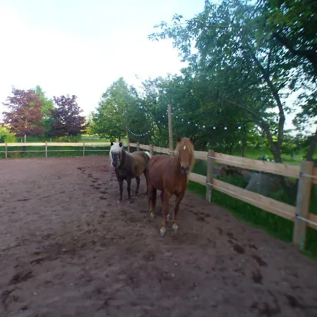 Appartement Landhof - Tierische Auszeit In Unseren Gemuetlichen Lieg