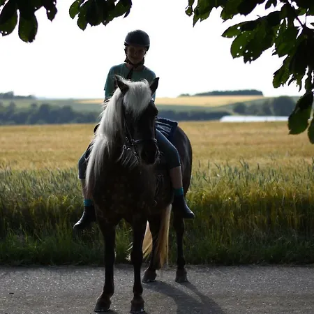 Daire Landhof - Tierische Auszeit In Unseren Gemuetlichen Lieg