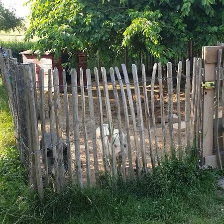 아파트 Landhof - Tierische Auszeit In Unseren Gemuetlichen *