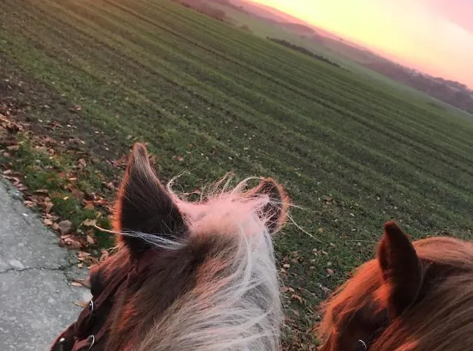 Landhof - Tierische Auszeit In Unseren Gemuetlichen *