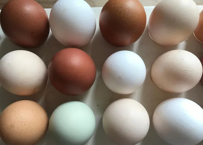 Apartament Landhof - Tierische Auszeit In Unseren Gemuetlichen