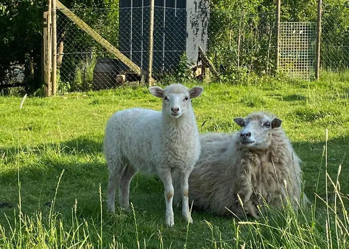 Landhof - Tierische Auszeit In Unseren Gemuetlichen