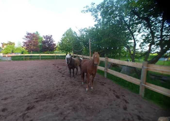 Apartament Landhof - Tierische Auszeit In Unseren Gemuetlichen Lieg