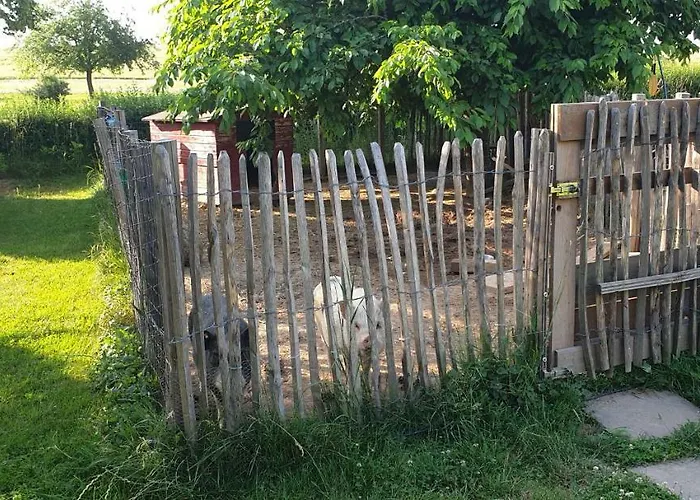 Apartament Landhof - Tierische Auszeit In Unseren Gemuetlichen *